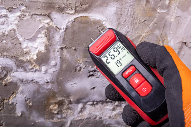 Best Toxic Mold Removal  in Glendale, MO