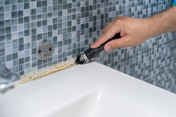 Best Professional Mold Removal  in Glendale, MO