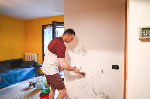 Best Certified Mold Removal  in Glendale, MO