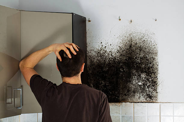 Water Damage Restoration in Glendale, MO
